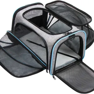 Expandable breathable pet carrier bag with large mesh windows for cats and small dogs