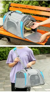 Detail shot of a foldable gray and blue pet carrier bag with mesh windows and a cat inside