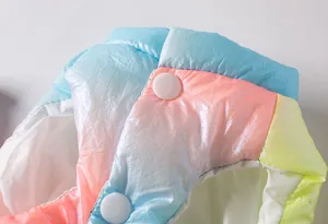 Macro-detail van een regenboogkleurig gewatteerd hondenvast met witte plastic drukknopen