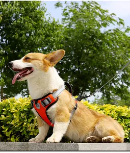 Detail view of orange no-pull dog harness vest with reflective straps on a Corgi
