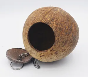 Detailansicht eines natürlichen Kokosnussschalen-Vogelnests mit einer Aufhängerkette