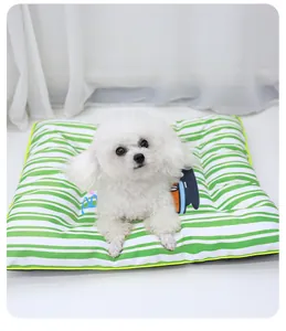 Cute white poodle resting comfortably on a green and white striped splash-proof pet sleeping mat