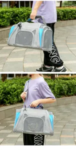 Detailed view of a foldable pet carrier bag shown with hand and shoulder carrying options outdoor.