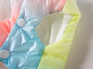 Detailopname van de regenbooggradiëntstof en de witte drukknopen van het hondenvet