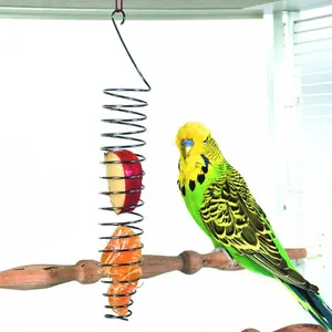 Spiral-Vogelfutterspender aus Edelstahl mit frischem Obst für Papageien im Käfig