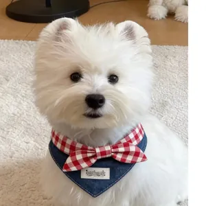 Dettaglio di un cane bianco con bandana in denim e papillon a quadretti rossi