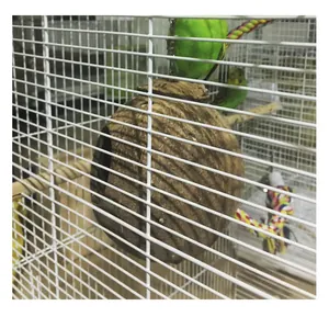 Detailansicht eines natürlichen Kokosnussschalen-Vogelnests in einem Käfig für Vögel.