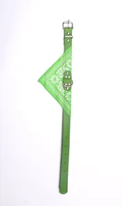 Detail view of green PU leather pet collar showing the buckle and bandana attachment