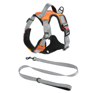 Professional orange and grey mesh vest dog harness set with matching leash detail