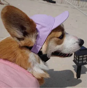 Cappellino da baseball viola per animali con fori per le orecchie su un Corgi