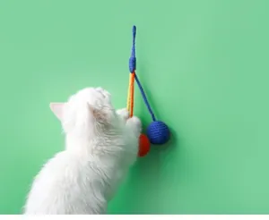 Weiße Katze spielt mit buntem, hängendem Sisalball-Spielzeug an einer grünen Wand