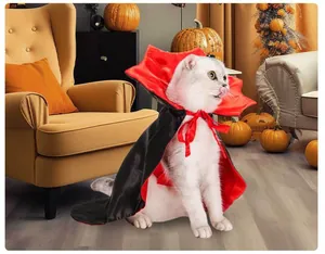 Vue détaillée d'un chat blanc portant une cape de vampire d'Halloween en velours rouge