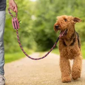 Pet waste bag dispenser attached to a colorful braided dog leash during an outdoor walk