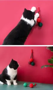 Hängende dreifarbige Sisalbälle Katzenspielzeug mit einer aktiven schwarz-weißen Katze