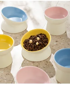 Ensemble de gamelles surélevées en céramique colorée avec un design incliné protecteur