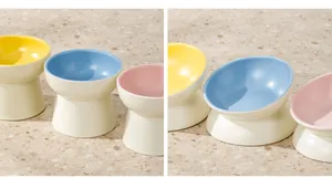 Comparaison détaillée de bols en céramique pour animaux en position inclinée et verticale