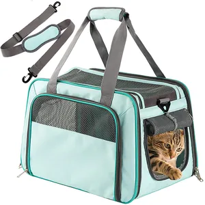 Breathable mint green pet carrier bag with adjustable shoulder strap for cats