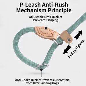 Professional heavy-duty slip lead dog leash featuring anti-pull and choke prevention design
