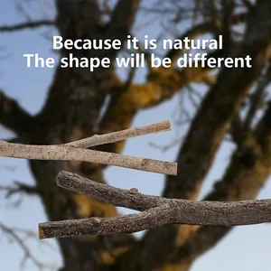 Close-up of natural wood bird perch showing unique bark textures