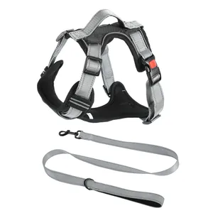 Full set of reflective dog harness and leash shown on a clean white background
