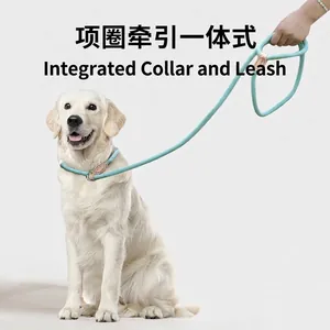 Durable light blue integrated nylon P-rope dog leash for large and medium breeds