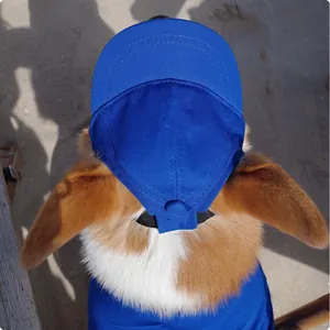 Cappello da baseball blu regolabile per cani piccoli con fori per le orecchie vista dall'alto