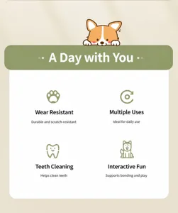 Informative detail graphic showing durable, interactive, and teeth-cleaning pet squeaky toy