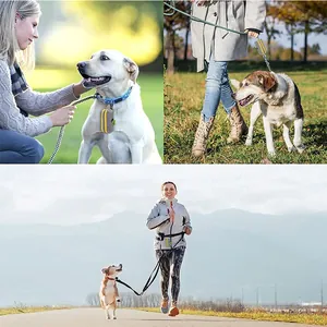 Portable pet waste bag dispenser with yellow zipper attached to a leash in outdoor park