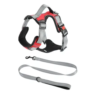 Red mesh dog harness vest with matching grey nylon leash for medium and large dogs
