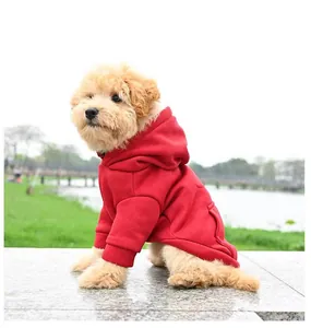 Perro pequeño con una cómoda sudadera roja con capucha en un parque
