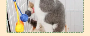 Detailed close-up view of hanging colorful sisal balls for cat self-entertainment and play