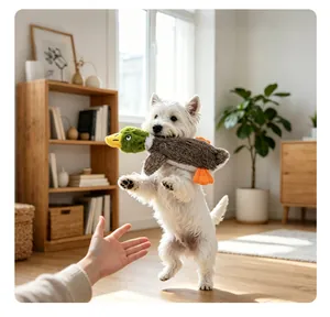 A Westie dog jumping to catch a plush green-headed duck squeaky toy in a cozy home setting.