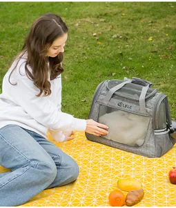 Große graue atmungsaktive Haustiertragetasche in einer Picknick-Szene im Freien