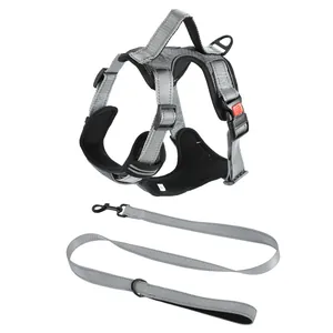 Professional grey reflective dog harness and matching leash set for medium dogs