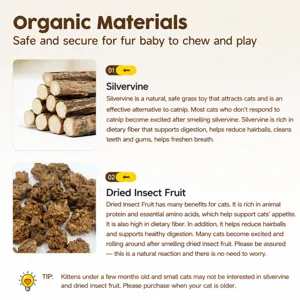 Natural organic silvervine sticks and gall fruit cat chew toys for healthy dental care