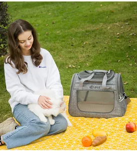 Outdoor-Lifestyle-Foto einer grauen Haustiertasche mit Model und weißer Katze