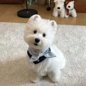 Simpatico bandana a quadretti blu con papillon per cani di piccola taglia e gatti, per foto