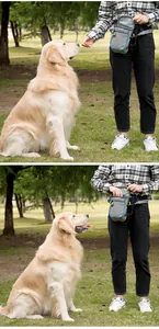 Une personne utilise une pochette grise pour dresser un golden retriever dans un parc.