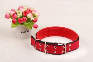 Detail view of a red and black padded adjustable dog collar with durable metal buckle
