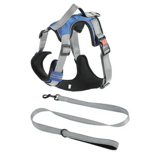 Adjustable blue and grey dog harness vest with matching heavy-duty nylon lead leash
