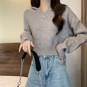 Gros plan d'un pull court à capuche gris pour femme, texture douce