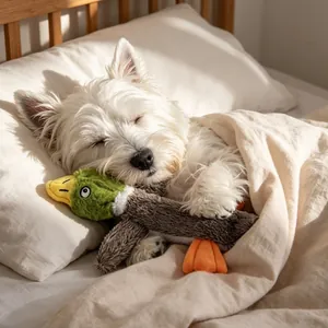 Soft and cute green mallard duck plush squeaky toy for pet dogs sleeping peacefully on bed