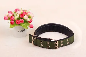 Close-up view of military green nylon dog collar with metal buckle and soft padding