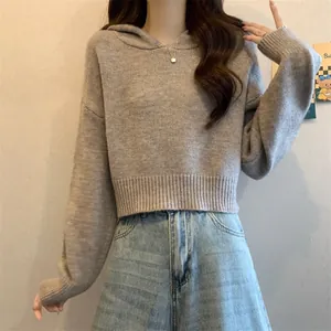 Vue rapprochée d'un pull court gris à capuche avec une coupe ample et un ourlet côtelé
