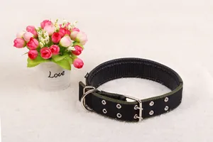 Close-up of durable nylon dog collar with dual row metal eyelets and silver buckle
