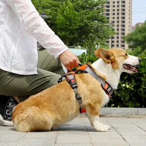 Orange and grey anti-pulling dog harness vest worn by a Corgi in an outdoor setting.