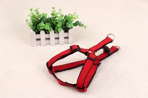 Detailed macro view showing the red nylon webbing and black buckles of the dog harness