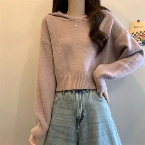 Détail d'un pull en tricot court à capuche lavande doux avec une coupe décontractée