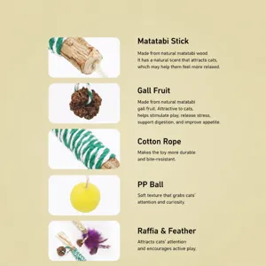 Natural silvervine cat chew stick toy set with gall fruit, cotton rope and purple feathers
