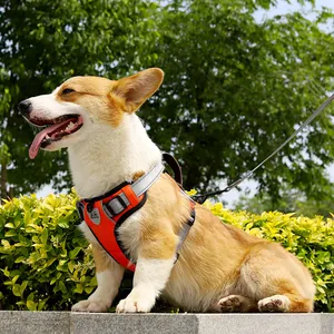 Breathable orange no-pull dog harness vest with reflective straps and leash for corgi dogs